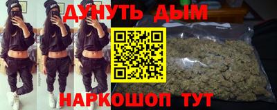 гашик Камышлов