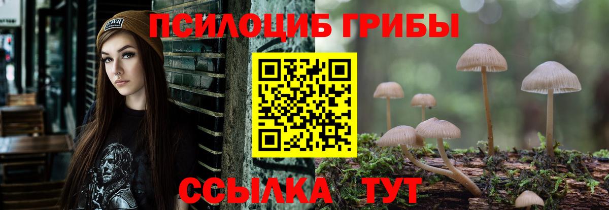 Галлюциногенные грибы GOLDEN TEACHER  Вход с VPN  Елабуга  Псилоцибиновые грибы прущие грибы 